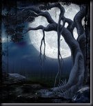 moonlit_scary_night